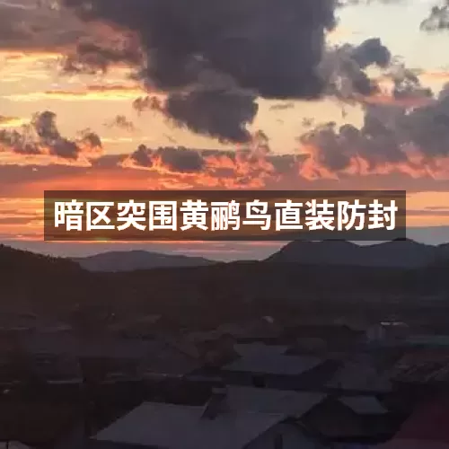暗区突围黄鹂鸟直装防封