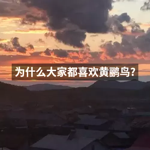 为什么大家都喜欢黄鹂鸟?