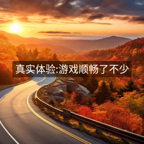 真实体验:游戏顺畅了不少