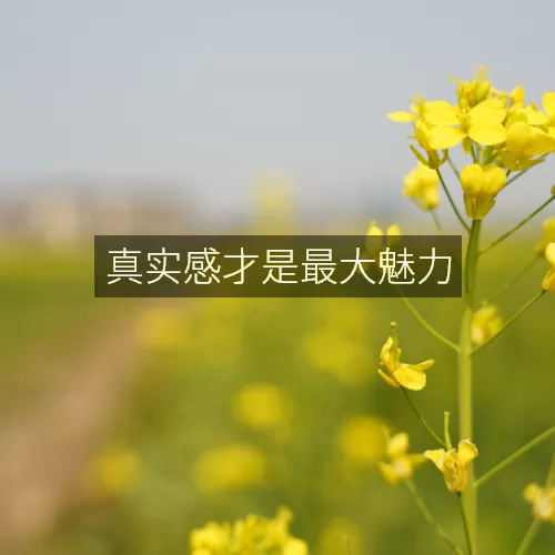 真实感才是最大魅力