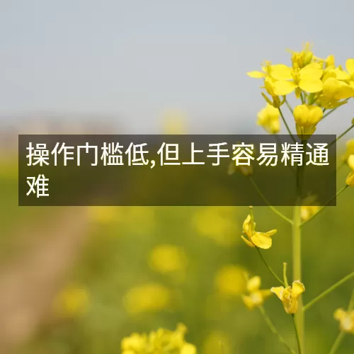 操作门槛低,但上手容易精通难