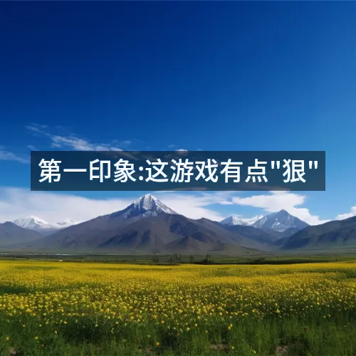 '第一印象:这游戏有点"狠"'