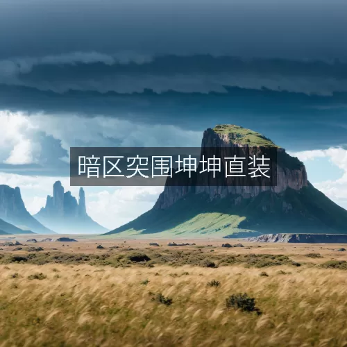 暗区突围坤坤直装