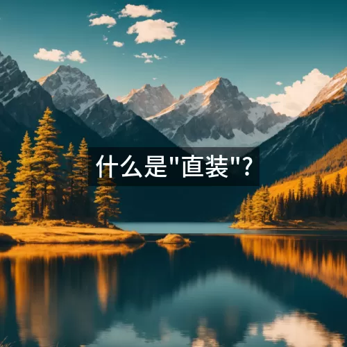 '什么是"直装"?'