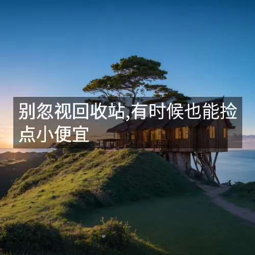 别忽视回收站,有时候也能捡点小便宜
