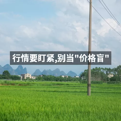 '行情要盯紧,别当"价格盲"'