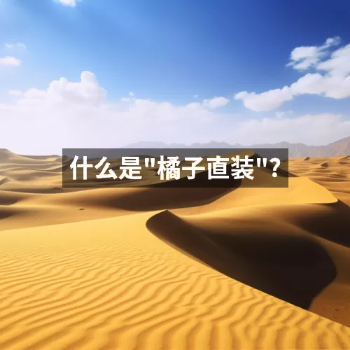 '什么是"橘子直装"?'