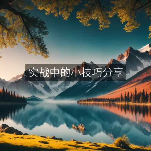 实战中的小技巧分享
