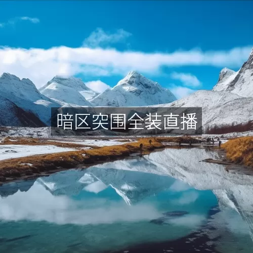 暗区突围全装直播