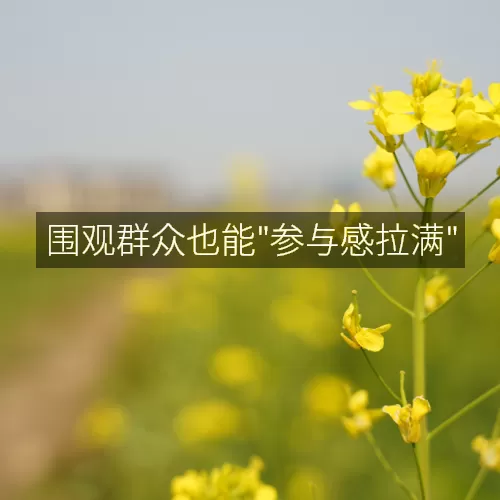 '围观群众也能"参与感拉满"'