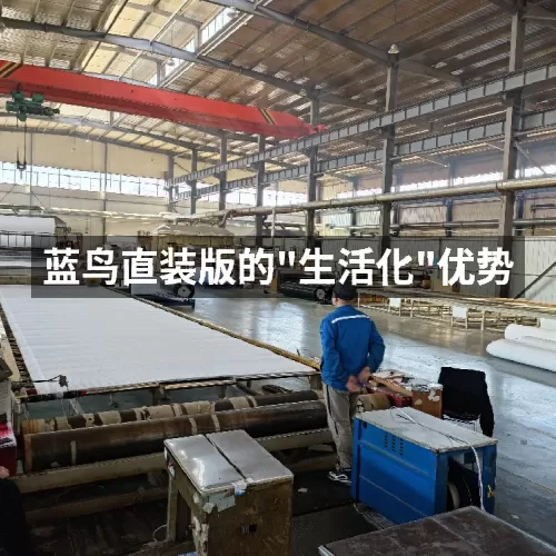 '蓝鸟直装版的"生活化"优势'