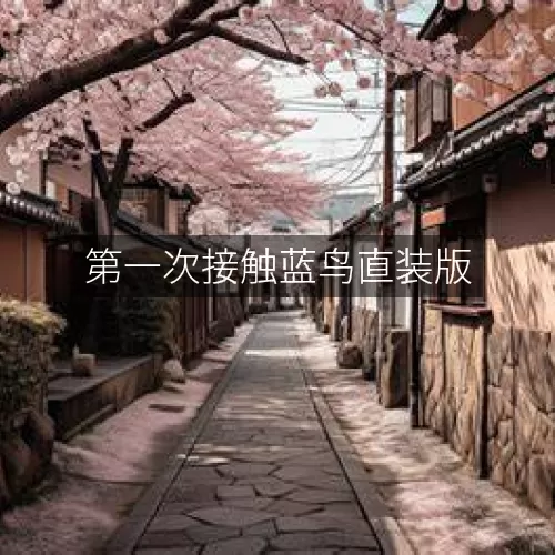 第一次接触蓝鸟直装版