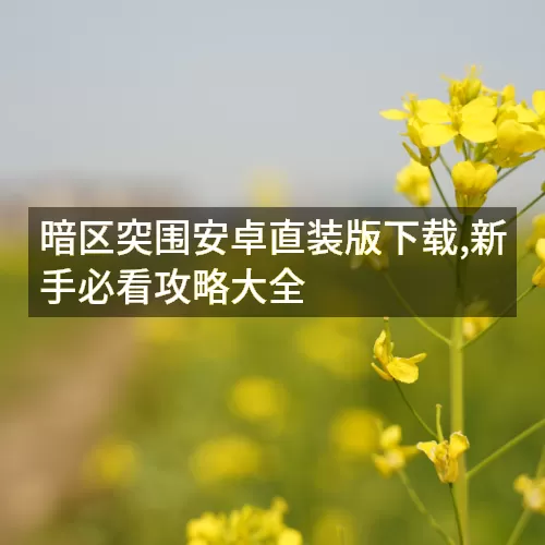 暗区突围安卓直装版下载,新手必看攻略大全